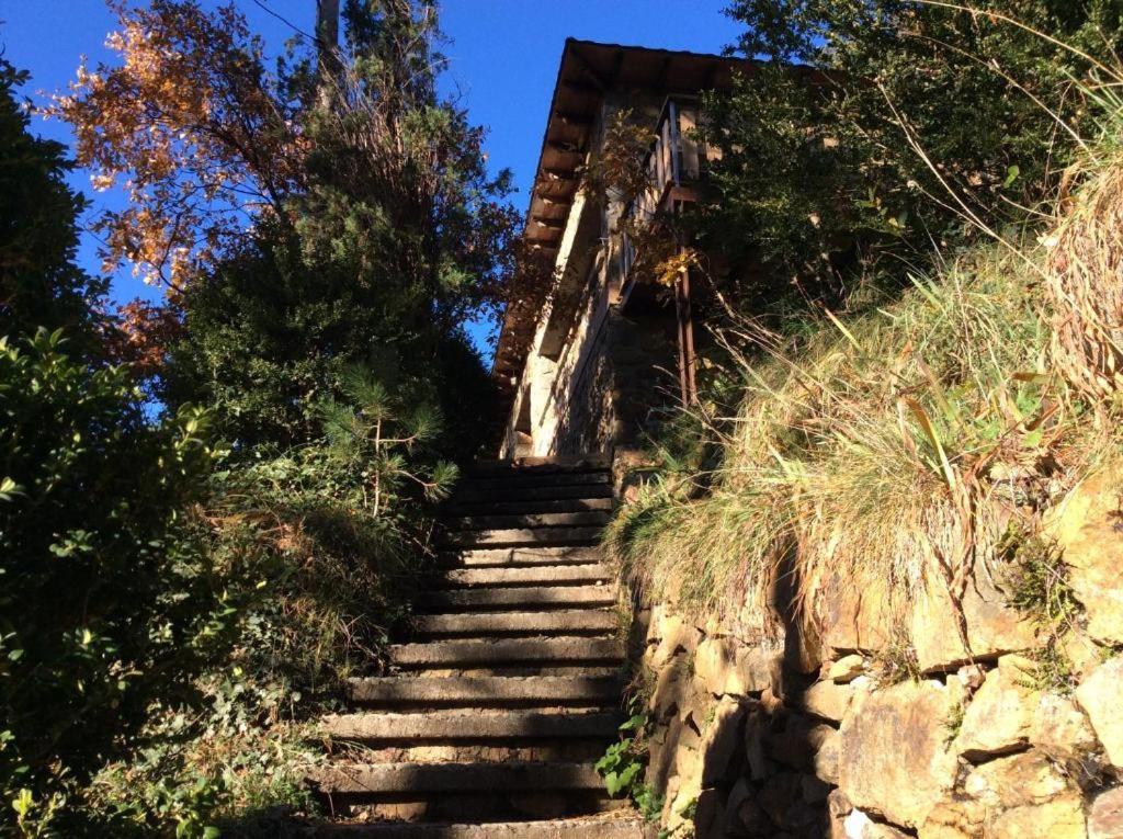 Els Apartaments Del Bosc リベス・デ・フレセル エクステリア 写真